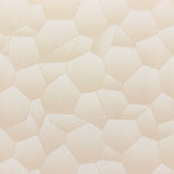 PVC CEILING AND WALL PANELS