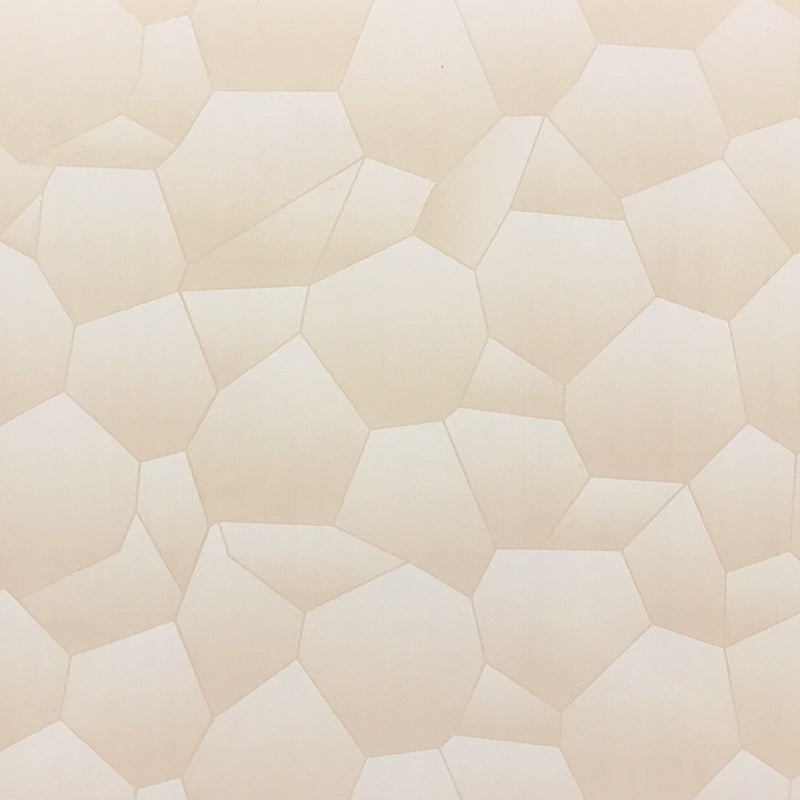 PVC CEILING AND WALL PANELS