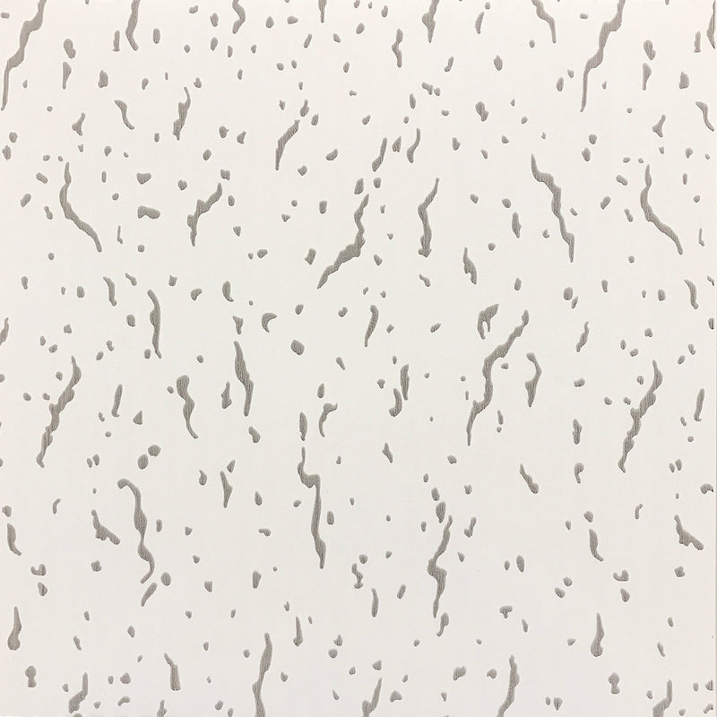 PVC CEILING AND WALL PANELS