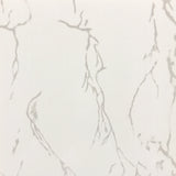 PVC CEILING AND WALL PANELS