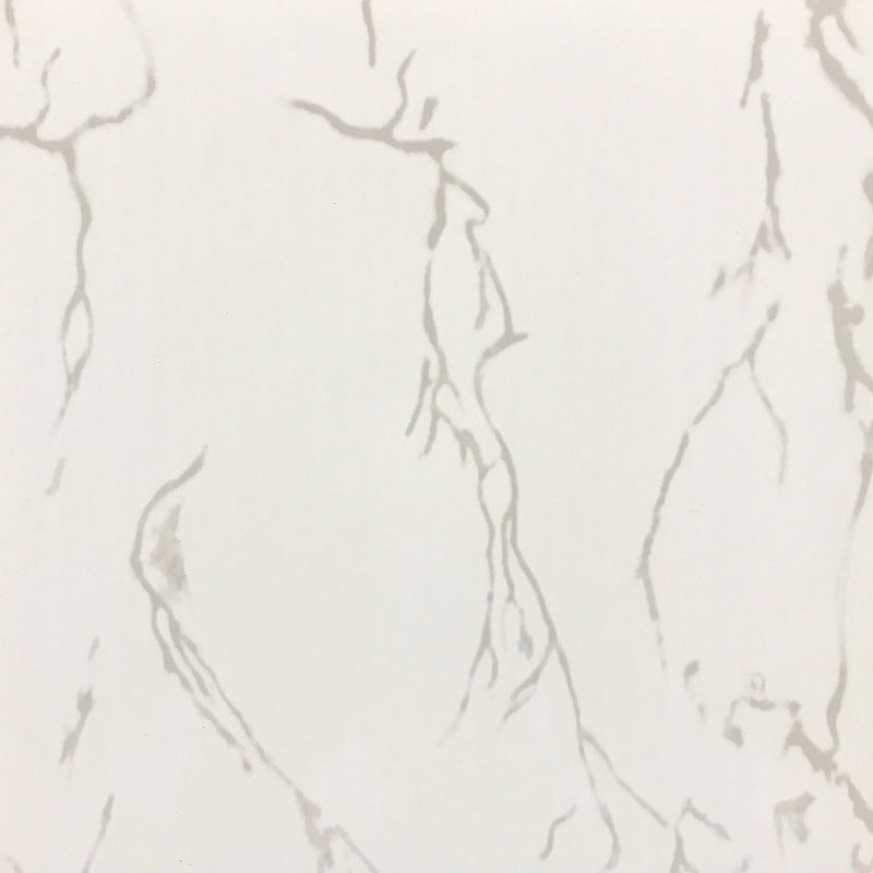 PVC CEILING AND WALL PANELS