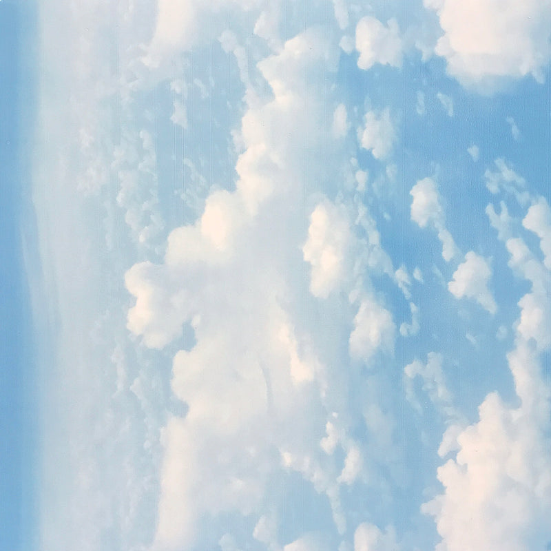 PVC CEILING AND WALL PANELS