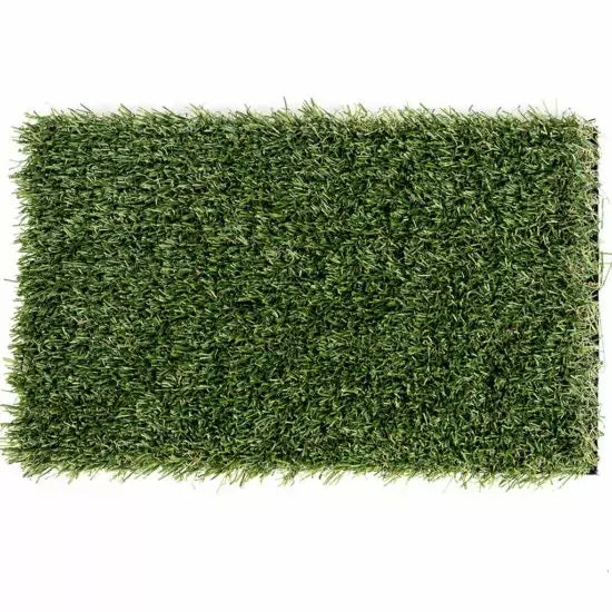 Eco 25mm