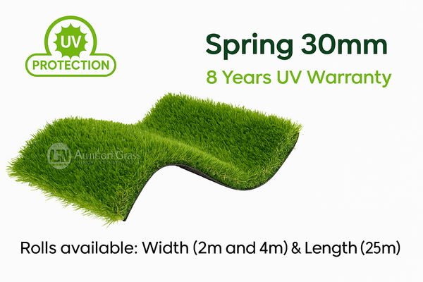 Spring 30mm