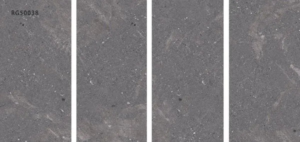 FOSSIL GALAXY