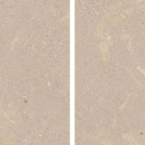 FOSSIL