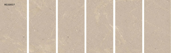FOSSIL GALAXY