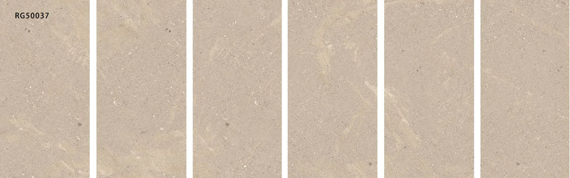 FOSSIL GALAXY
