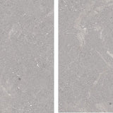 FOSSIL