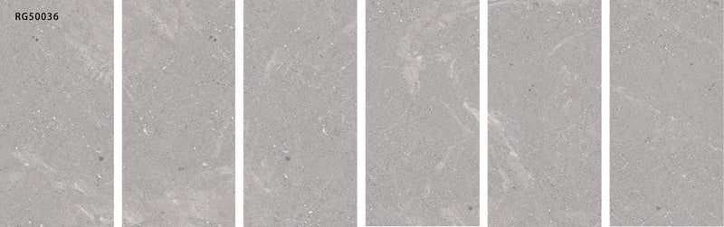FOSSIL GALAXY
