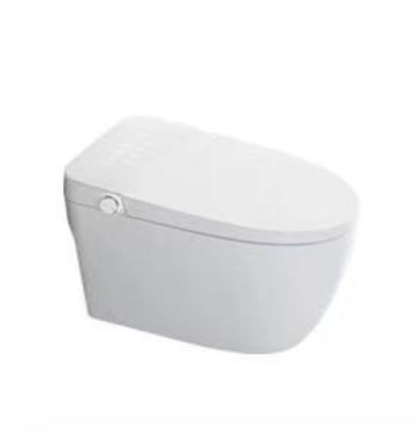 Smart Toilet  - Toilet with built in BIDET