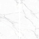 POLARIS WHITE