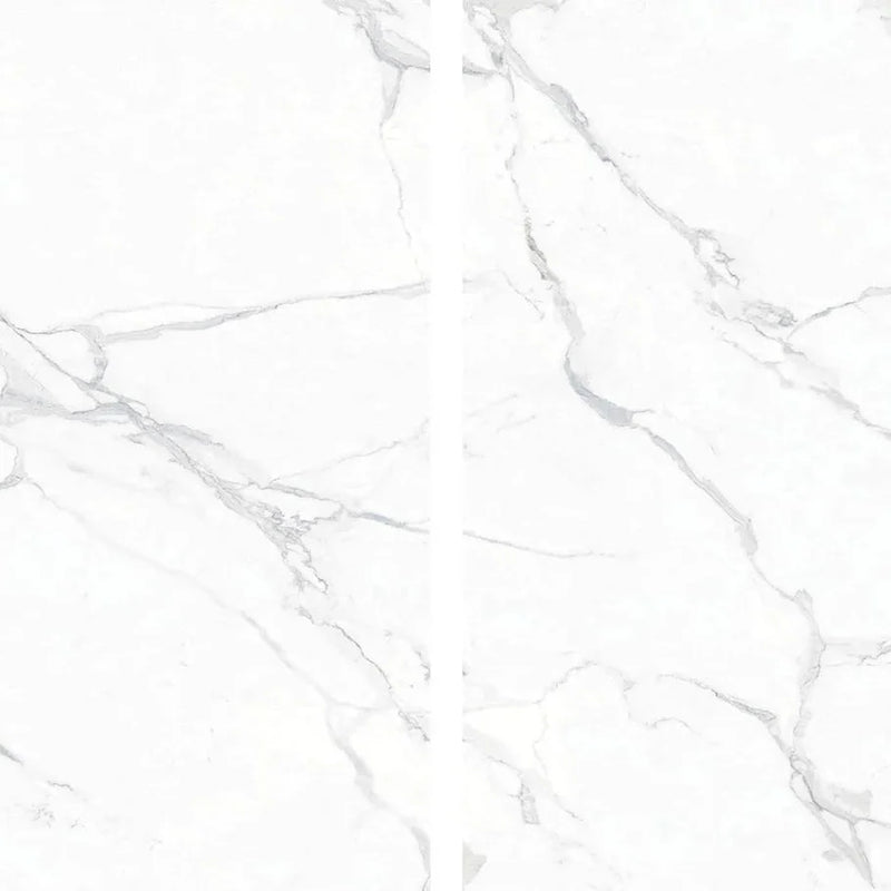 POLARIS WHITE