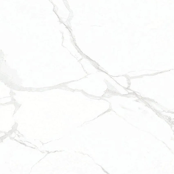 POLARIS WHITE
