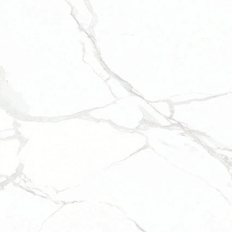 POLARIS WHITE