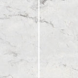 Roman Silver