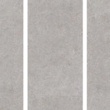 SHELL DOVE