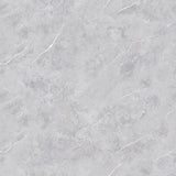 THUNDER SILVER