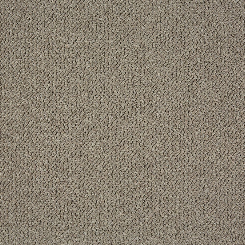 Immerse- residential  broadloom